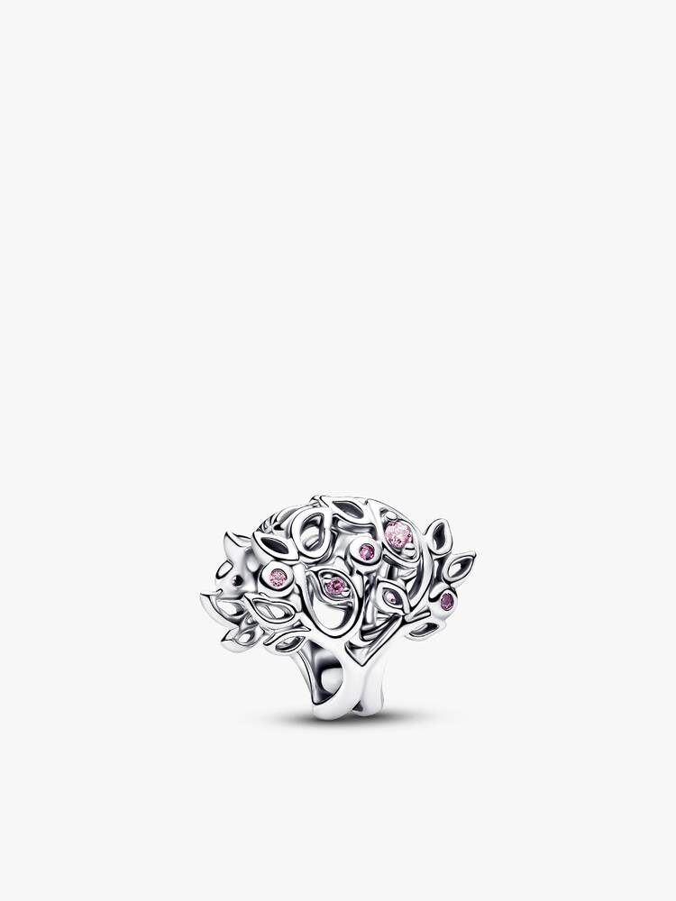 Pulsera y 5 Charms Para Mi Hermosa Mamá